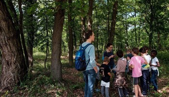 Attività nel bosco