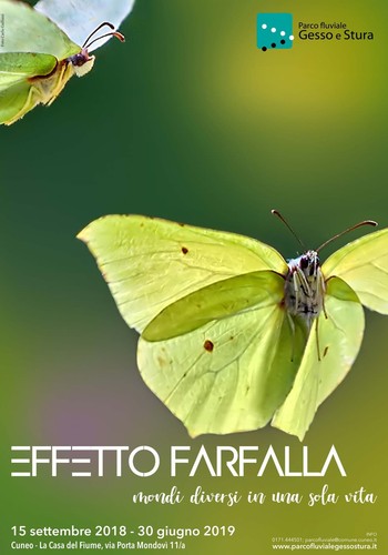 Locandina della mostra "Effetto farfalla"