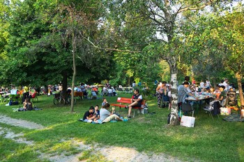 Il picnic